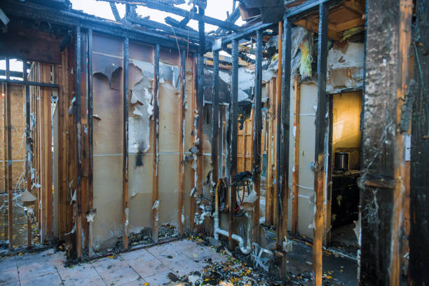 Professional Odor Removal technician working in McCordsville, IN